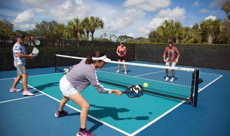 best-nomex-pickleball-paddles