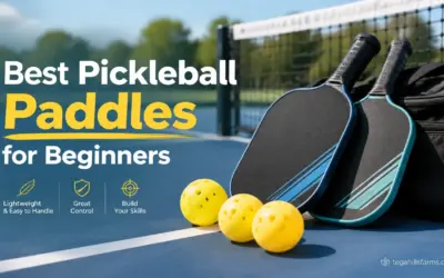 Best Pickleball Paddles for Beginners – 2026 Guide