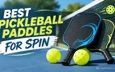Best Pickleball Paddles for Spin: 2026 Top Picks