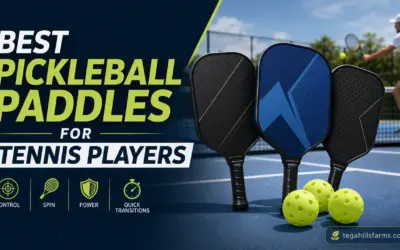 Best Pickleball Paddles for Tennis Players: 2026 Top Picks