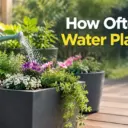 How Often to Water Planters — A Simple Guide