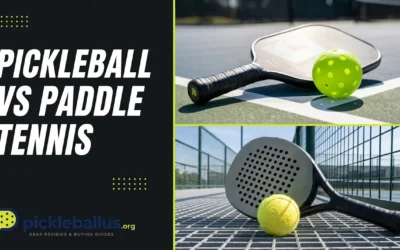 Pickleball vs Paddle Tennis: 7 Key Differences