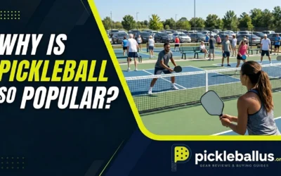 Why Is Pickleball So Popular? 7 Reasons Behind the Boom